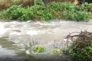 Flood in Andhra Pradesh etv bharat