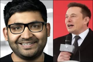 Parag Agrawal Elon Musk