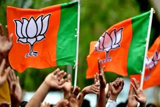 rajasthan BJP,  2 organizational presidents in districts