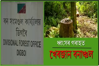 Digboi  forest  Division