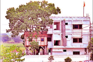 tree house at adilabad