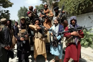 afghan prisoners released
