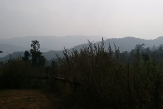 koyal shankh zone