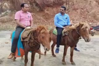 Panchayat Raj Secretary walked around Swabhiman area on horse