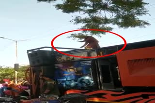 groom climbed over dj danced on his baraat video viral