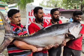 86 Kg giant fish sold at a shop in Coimbatore