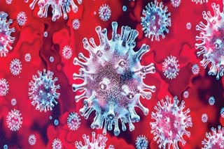 covid virus