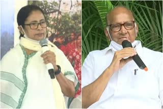 mamata-banerjee-and-sharad-pawar-meeting