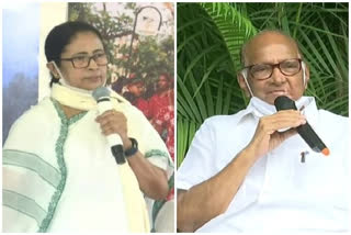 Mamata Banerjee is welcome to meet Sharad Pawar: Sena MP Sanjay Raut