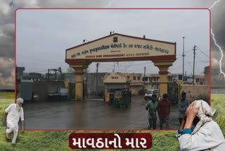 Unseasonal Rains in Bhavnagar: માર્કેટિંગ યાર્ડે સૂચના આપી છતાં ખેડૂતો મગફળી લઈ આવ્યા, 25,000 ગુણો પલળી ગઈ