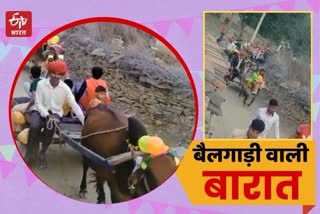 procession came on a bullock cart in Bhilwara