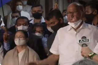 Mamata Banerjee met Sharad Pawar