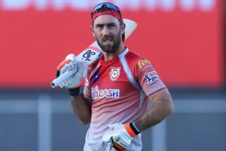 ఆర్సీబీ కెప్టెన్​ మ్యాక్స్​వెల్​, rcb captain maxwell