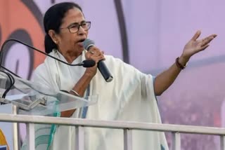 police complaint against mamata banerjee