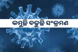 Odisha Corona Report: ଦିନକରେ ଚିହ୍ନଟ ହେଲେ ୨୫୨ ଆକ୍ରାନ୍ତ