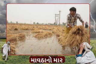Warning to Farmers of Rajkot: જિલ્લાના ખેડૂતોને ખરીફ પાક યોગ્ય જગ્યાએ રાખવા સૂચના