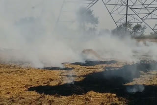 Farmers burning stubble in fields