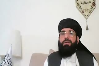 Afghan government spokesman Sohail Shaheen