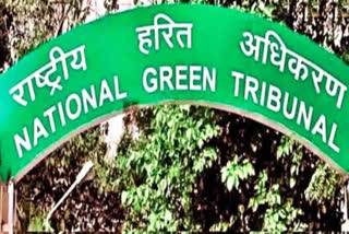 NGT Penalty to AP Govt