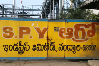 Spy Agro, ఎస్పీవై ఆగ్రో