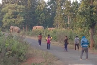 School Student Infront of Elephant at Jhargram