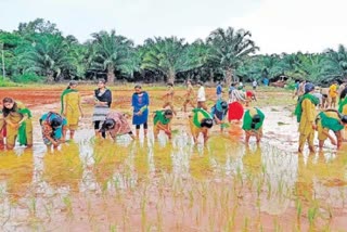 Agricultural Education Day