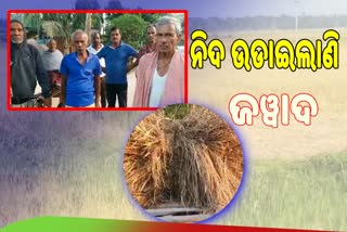 ମାଡି ଆସୁଛି ଜୱାଦ, ଚାଷୀଙ୍କୁ ଘାରିଛି ଧାନ ଫସଲ ଚିନ୍ତା