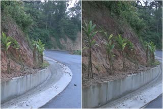 encroachment on national highway land in Idukki  encroachment in revenue land  land encroachment issue in idukki  ഇടുക്കിയിൽ ദേശീയപാത ഭൂമി കയ്യേറി  ഇടുക്കിയിൽ റവന്യൂ ഭൂമി കൈയേറ്റം  ഇടുക്കിയിലെ ഭൂമി കയ്യേറ്റ പ്രശ്നം