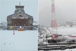 snowfall (etv bharat photo)