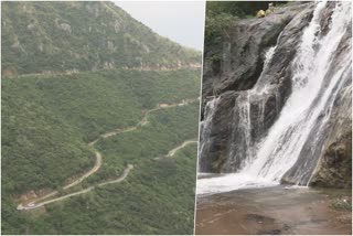 Bodimettu-Body Pass trail in idukki  mountains and waterfalls in idukki  ബോഡിമെട്ട്- ബോഡി ചുരം  ഇടുക്കിയിലെ മലകളും വെള്ളച്ചാട്ടങ്ങളും  ബോഡിമെട്ട്- മുന്തല്‍- ബോഡി വാണിജ്യ പാത