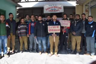 Peace Meal workers  kullu