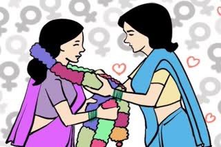 Same sex marriages should be registered only under Special Marriage Act not Hindu Marriage Act  Plea in Delhi High Court