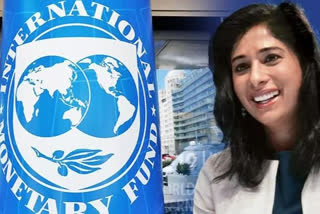 gita gopinath to be promoted first deputy managing director of imf