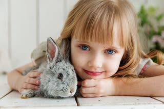 pet care, how to take care of pet rabbits, can i pet a rabbit, do rabbits require vaccination, pat parenting tips, पालतू खरगोशों को होती है ज्यादा देखभाल की जरूरत, पालतू खरगोश