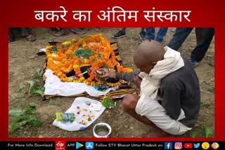 बकरे का हिंदू रीति रिवाज से किया अंतिम संस्कार.