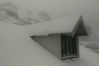 Season second snowfall on Churdhar peak