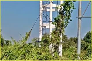 Land Abandoned in Bajali