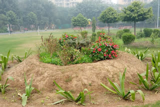 dwarka dda park