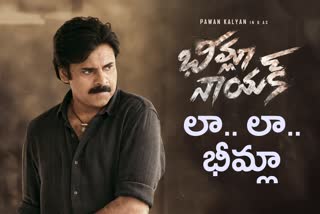 pawan kalyan bheemla nayak movie