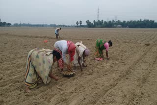 Cyclone Jawad