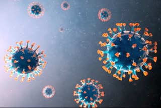 Omicron strain in Rajasthan, Variants of Corona in Rajasthan