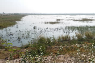 kotla lake in nuh