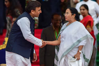 akhilesh yadav is ready to make alliance with mamata banerjee to defeat bjp