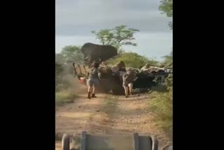 Angry Elephant attacks tourist safari