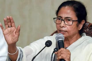 mamata