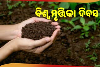 world Soil Day