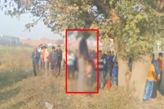 hangging-dead-body-on-tree-in-panipat