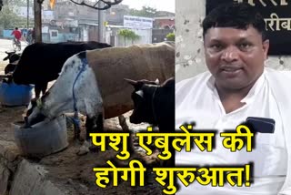 government-will-start-animal-ambulance-in-jharkhand-said-minister-badal-patrlekh