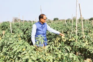 CM Shivraj In Vidisha