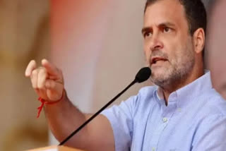 Rahul Gandhi slams Centre over Nagaland incident, Nagaland firing incident, Nagaland firing incident Rahul Gandhi, What exactly is home ministry doing, killing of civilians in Nagaland, Rahul Gandhi tweet Nagaland incident, நாகலாந்து அப்பாவிகள் கொலை, ராகுல் காந்தி, நாகாலாந்து துப்பாக்குச்சூடு, ராகுல் காந்தி ட்வீட், ராகுல் காந்தி நாகாலாந்து, நாகா மக்கள் கொலை, பாதுகாப்புப் படையினர் துப்பாக்கிச்சூடு, ராணுவ படை துப்பாக்கிச்சூடு, rahul gandhi on nagaland firing, rahul gandhi tweet, rg tweets